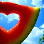 De um sonho adiado a uma missão de vida: Nutricionista supera obstáculos e inspira com história de resiliência e propósito